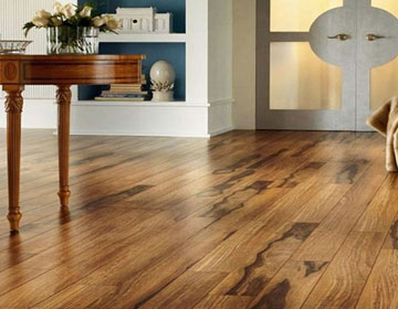 parke, sistre cila, lamine parke, laminat parke, parke cilalama, parke tamiratı