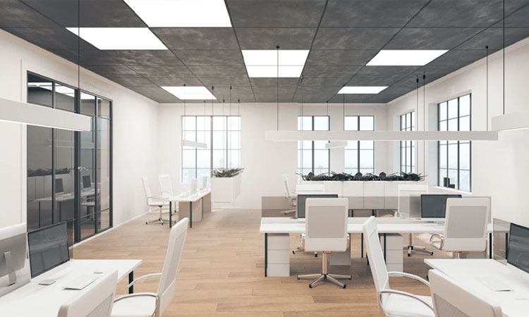 ofis tadilati, ofis dekorasyonu